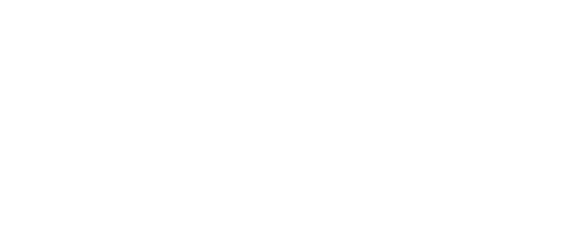 VDK